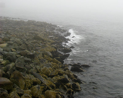 Halifax Fog The Beach 2