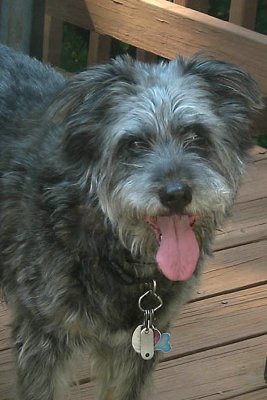 Jesse's Big Smile Arrived in April, 1995Left Us on 3/21/11