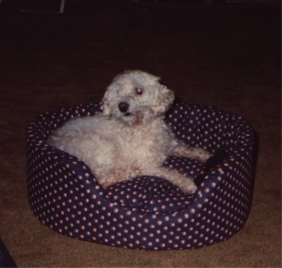 Fluff 2