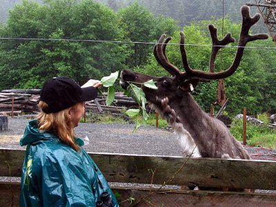 Reindeer Games in Ketchikan, AK