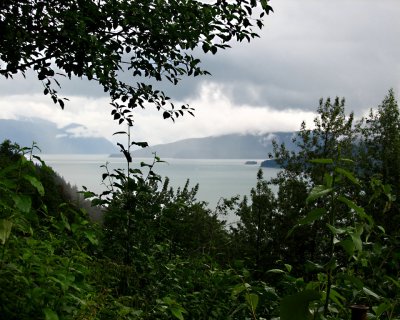 Approach to Juneau