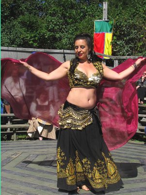We Didnt Know<br>There Was Belly Dancing<br> in the Middle Ages