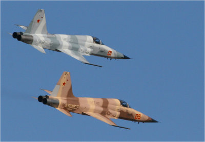 Northrop F-5E Tigers