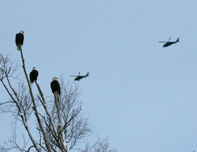 Eagles and (Pave)Hawks