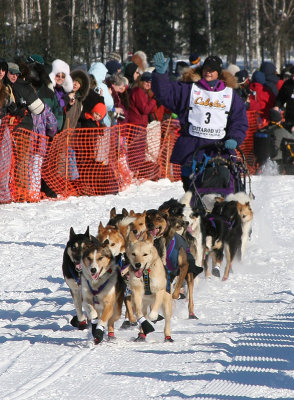 Jessie Royer (Bib #3)