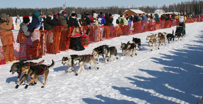 Zack Steer (Bib #7)