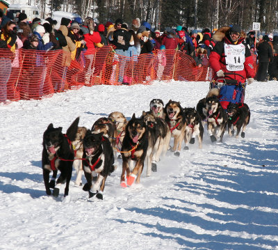 Randy Cummins (Bib #14)