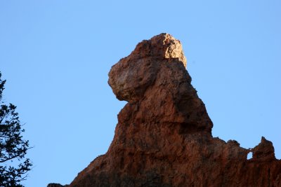 21, U7m The Lion never sleeps, Bryce Canyon.jpg