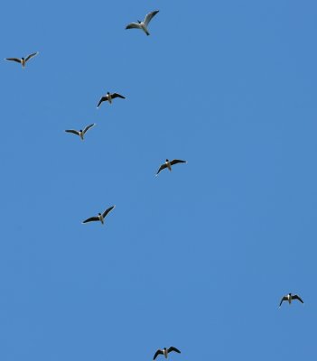 g6/83/664783/3/78253702.yHk43wmn.jpg