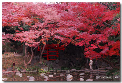 japan_late_autumn_2007