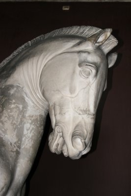 IMG_7850.JPG