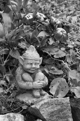 onTopic My Backyard: Garden Guard