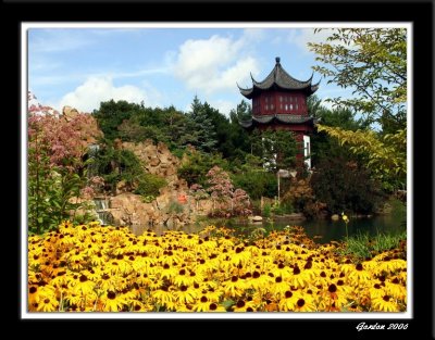 Jardin chinois / Botanical Gardens