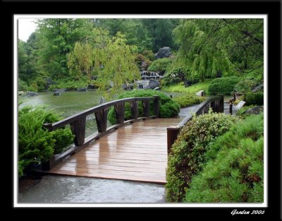 Pont sous la pluie / Japanese Garden in the Rain.jpg