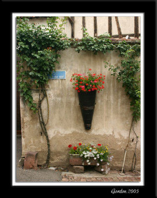 Ribeauvill 2, Alsace