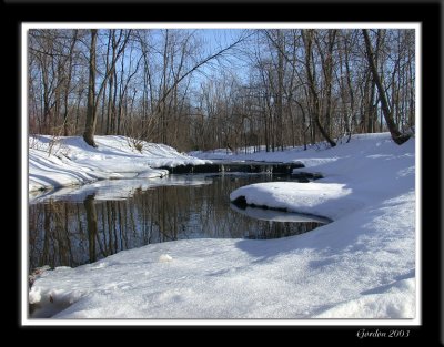 Ruisseau l'hiver / Winter Stream