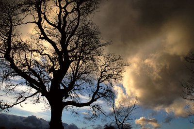 25th November 2006 <br> stormy weather coming