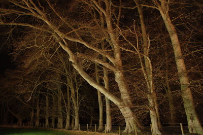 28th November 2006 by the moon's light