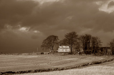 12th January 2007 <br> blustery day at Balquhain