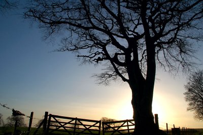 2nd February 2007  middle of nowhere