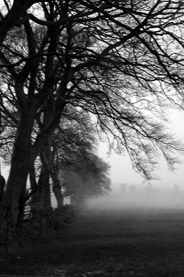 19th March 2007 start of a snowstorm