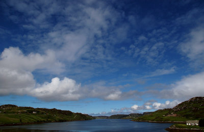 DSC_0080 copy.jpg