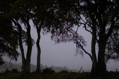 9th October 2007  misty