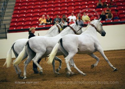 prf_1409.jpg
