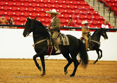 prf_1461.jpg
