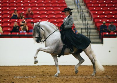 prf_1592.jpg
