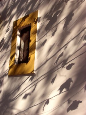 imagining shadows..