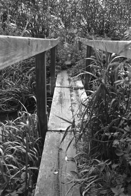 Bridge