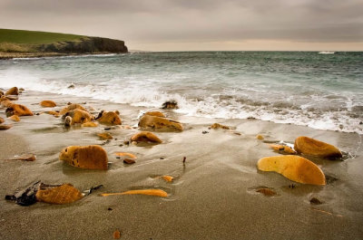 Taracliff Bay, Mainland