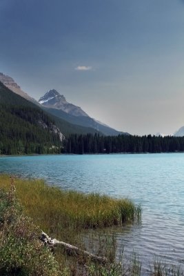 Waterfowl Lake, Alberta