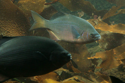 IMG_6699.jpg