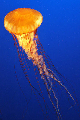 IMG_6707.jpg