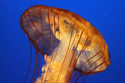IMG_6711.jpg