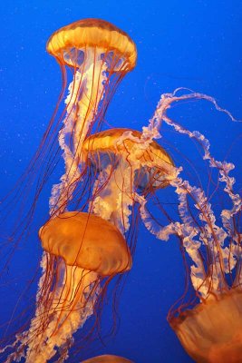IMG_6719.jpg