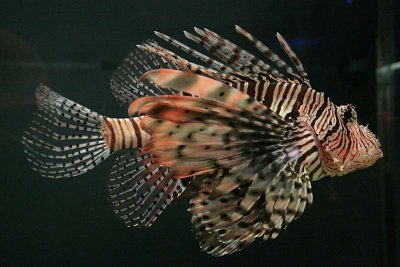 IMG_6764.jpg