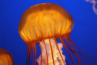 IMG_6781.jpg