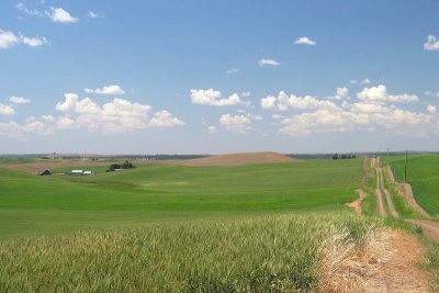 The Edge of the Palouse