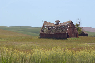 Old Barn