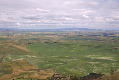 View from Steptoe Butte