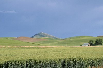 Steptoe Butte