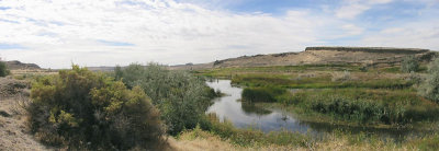 Marsh Unit. One - Columbia National Wildlife Refuge