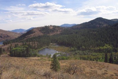 The Beaver Marsh & Patterson Lake