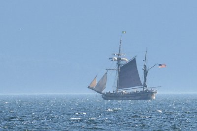 Hawaiian Chieftain