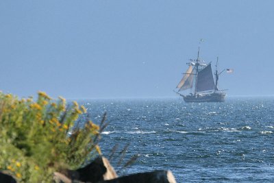 Hawaiian Chieftain