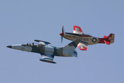 L39 Albatross & P51 Mustang