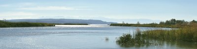 Mouth of Wiley Slough at Skagit Bay